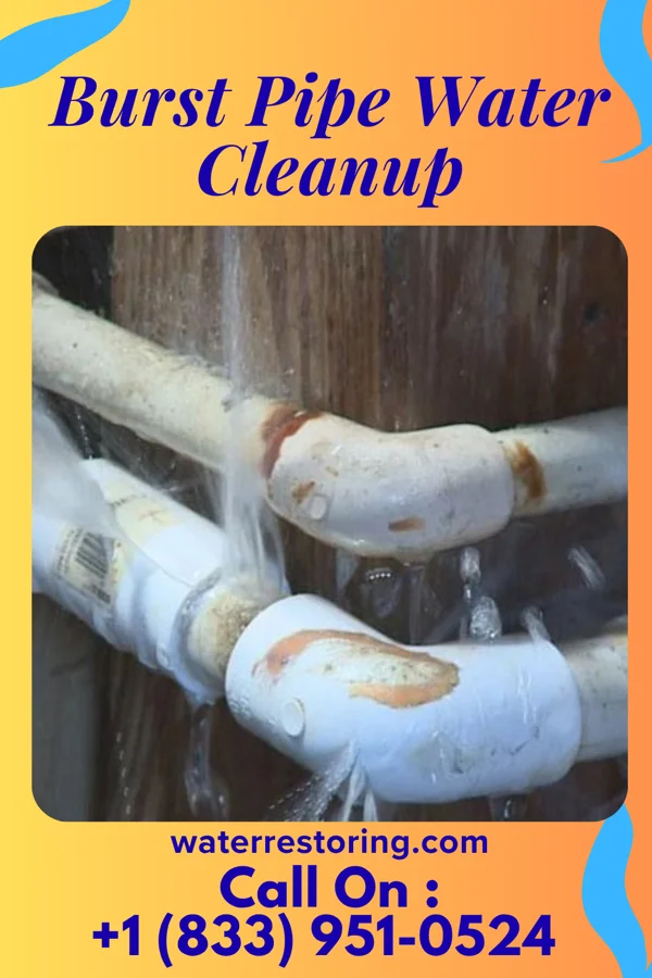 Burst Pipe Water Cleanup in Shoreacres, TX