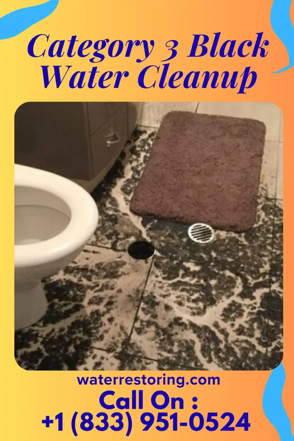 Category 3 Black Water Cleanup in Shoreacres, TX