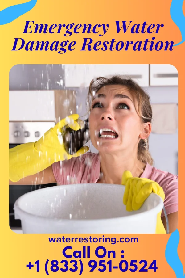 Emergency Water Damage Restoration in Shoreacres, TX
