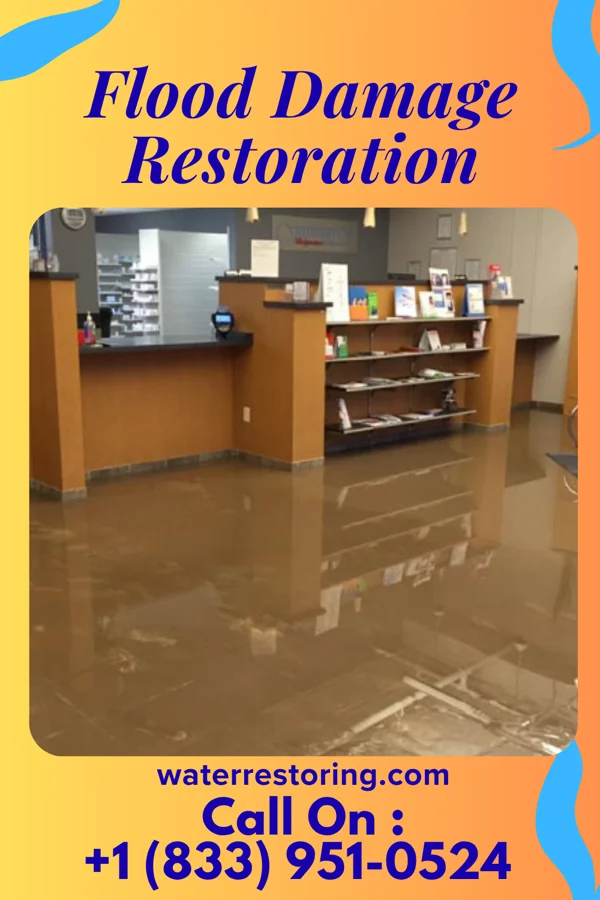 Flood Damage Restoration in Shoreacres, TX