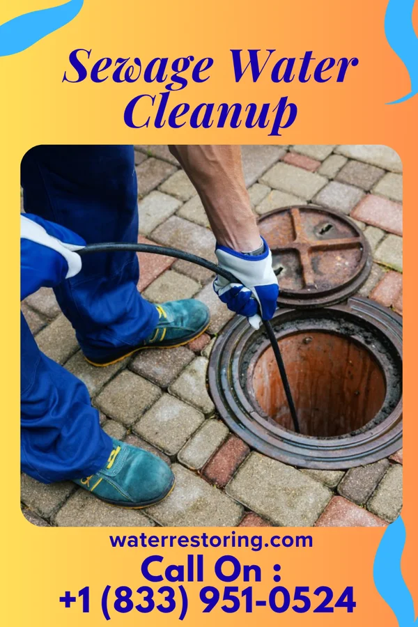 Sewage Water Cleanup in Shoreacres, TX