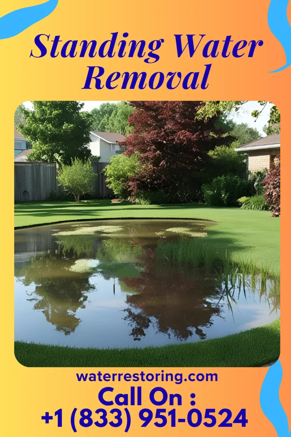 Standing Water Removal in Shoreacres, TX